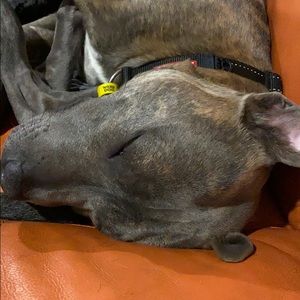 Meet your Posher, Toni